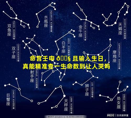 命宫壬申 🐧 且输入生日，真能精准查一生命数到让人哭吗